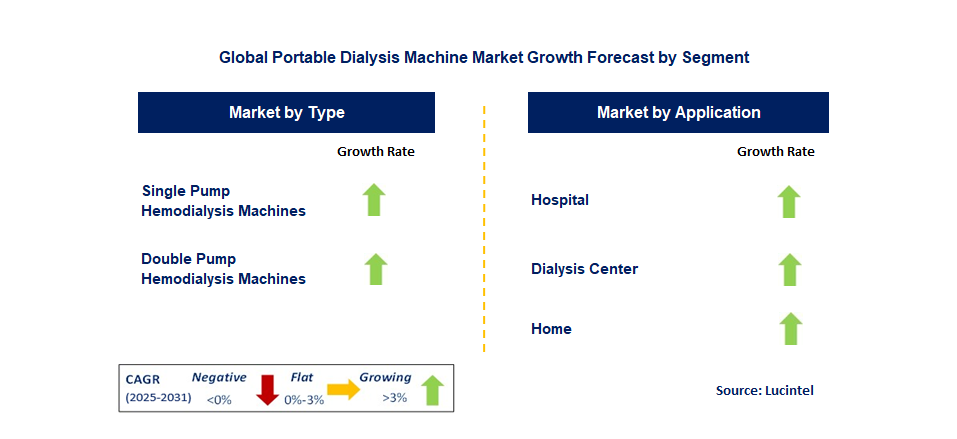 Portable Dialysis Machine Market by Segment