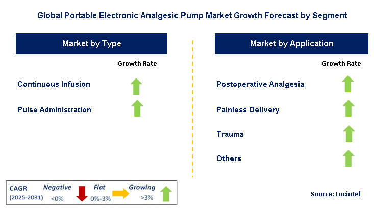 Portable Electronic Analgesic Pump Market by Segment