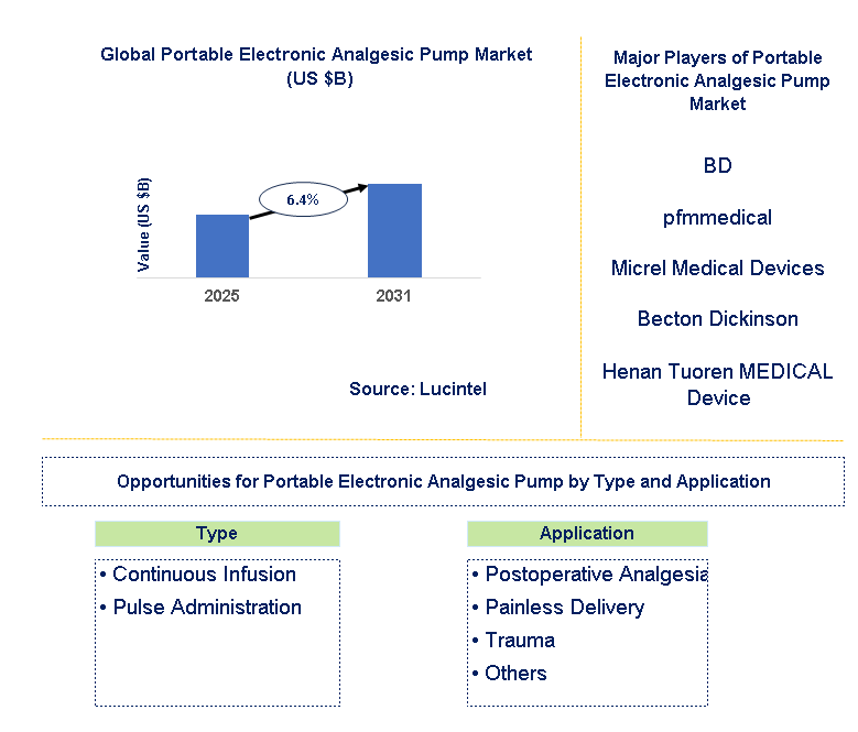 Portable Electronic Analgesic Pump Market Trends and Forecast