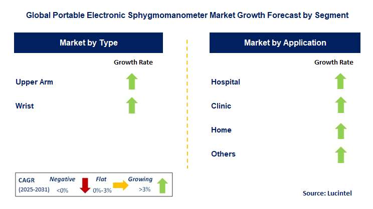 Portable Electronic Sphygmomanometer Market by Segment