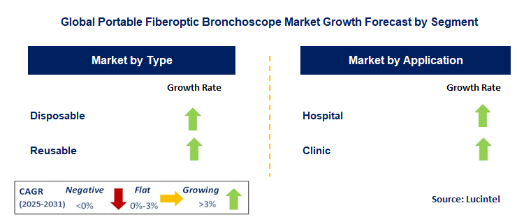 Portable Fiberoptic Bronchoscope Market by Segment