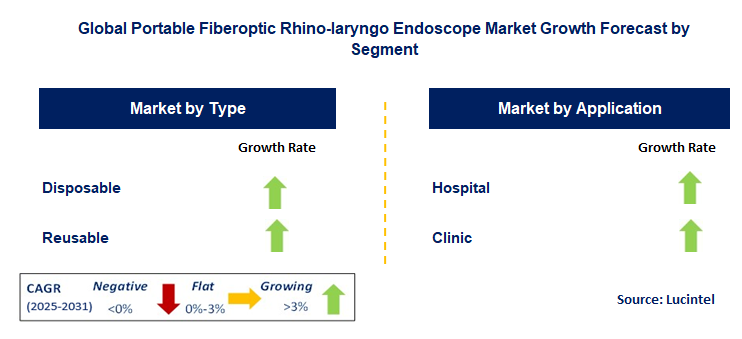 Portable Fiberoptic Rhino-laryngo Endoscope Market by Segment
