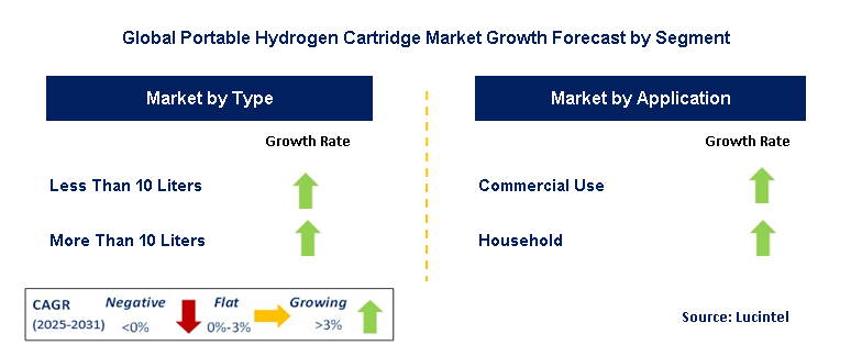 Portable Hydrogen Cartridge Market by Segment