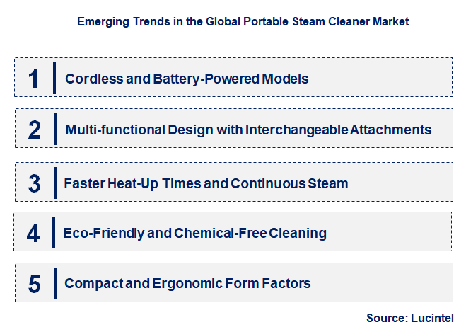 Emerging Trends in the Portable Steam Cleaner Market