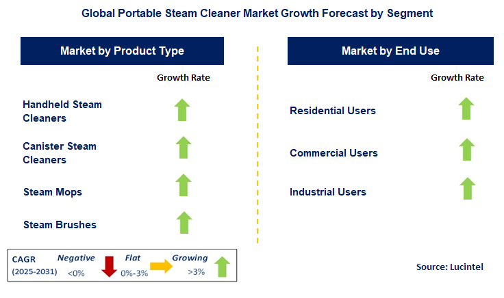 Portable Steam Cleaner Market by Segment