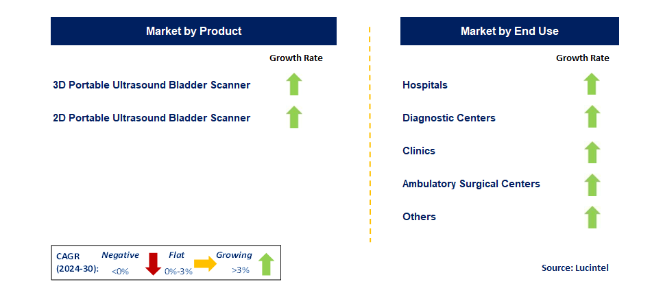 Portable Ultrasound Bladder Scanner by Segment