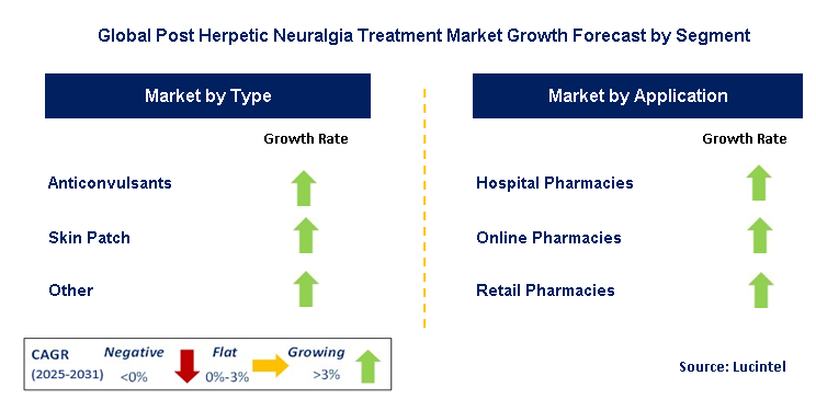 Post Herpetic Neuralgia Treatment Market by Segment