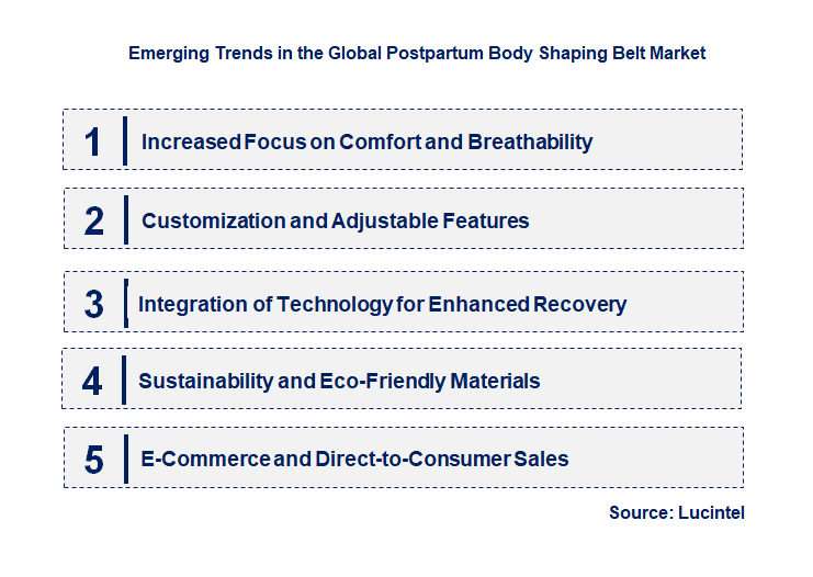 Emerging Trends in the Postpartum Body Shaping Belt Market