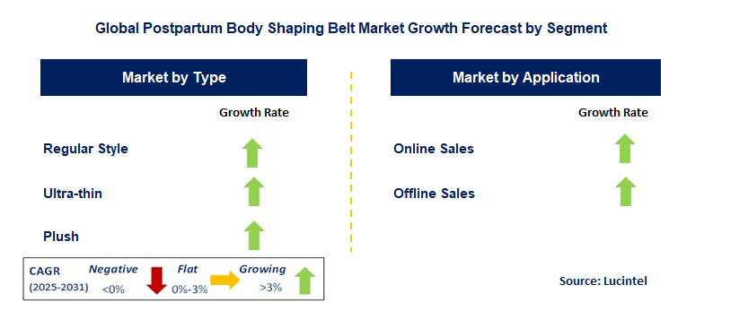 Postpartum Body Shaping Belt Market by Segment