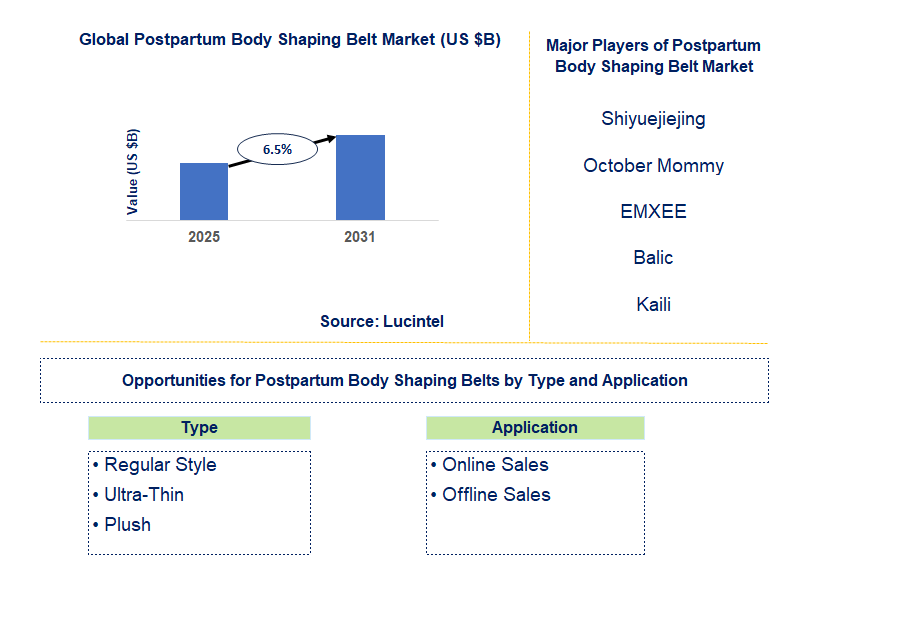 Postpartum Body Shaping Belt Market Trends and Forecast