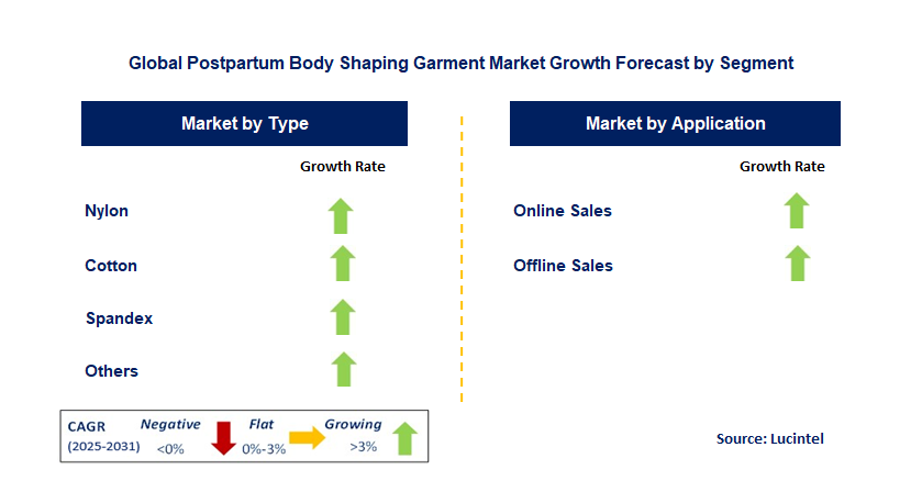 Postpartum Body Shaping Garment Market by Segment