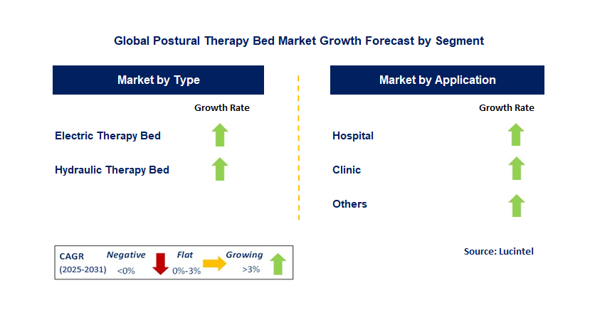 Postural Therapy Bed Market by Segment