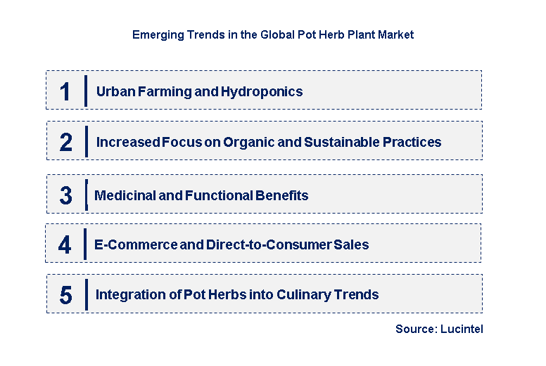 Emerging Trends in the Pot Herb Plant Market