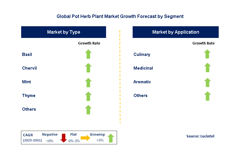 Pot Herb Plant Market by Segment