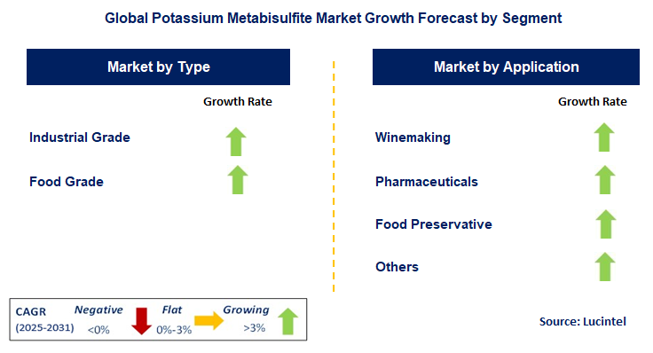 Potassium Metabisulfite Market by Segment
