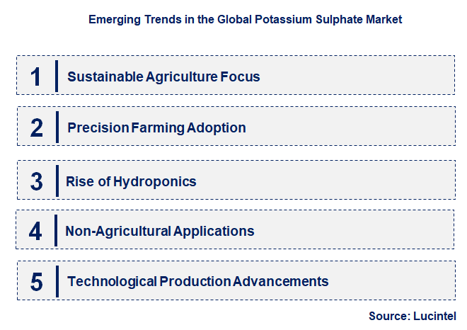Emerging Trends in the Potassium Sulphate Market
