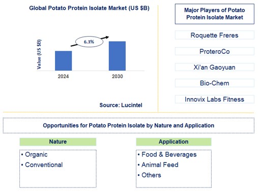 Potato Protein Isolate Trends and Forecast