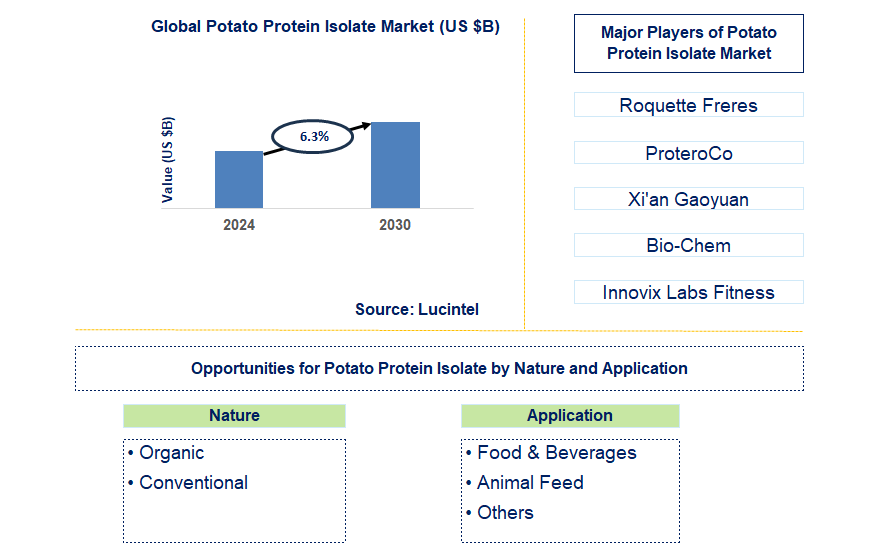 Potato Protein Isolate Trends and Forecast