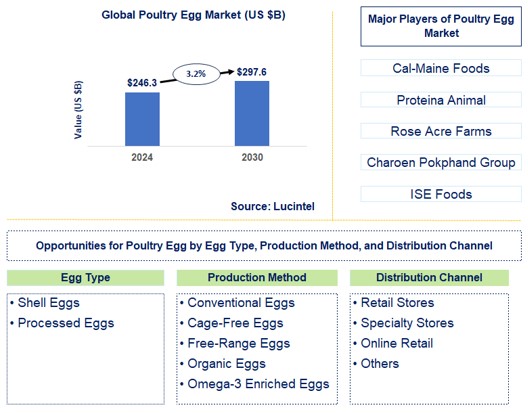 Poultry Egg Trends and Forecast