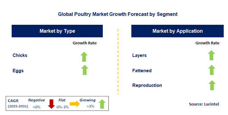 Poultry Market by Segment