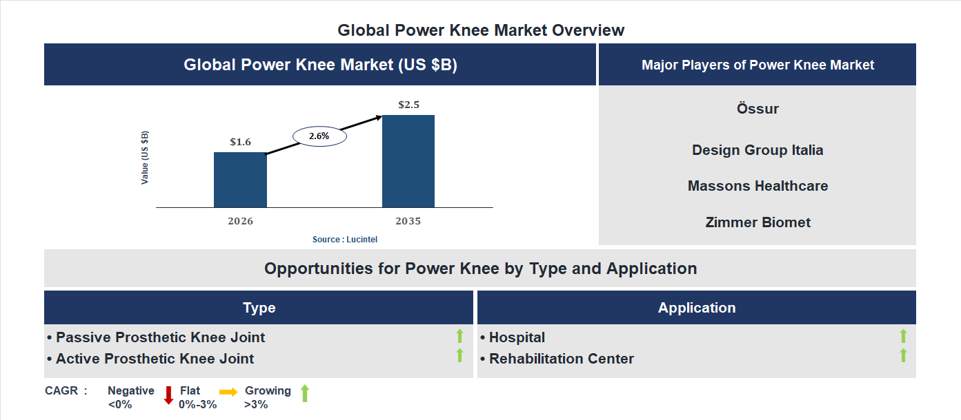 Power Knee Market Trends and Forecast