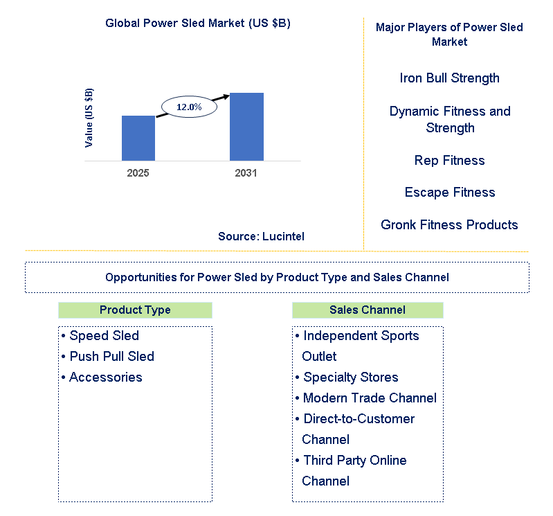 Power Sled Market Trends and Forecast