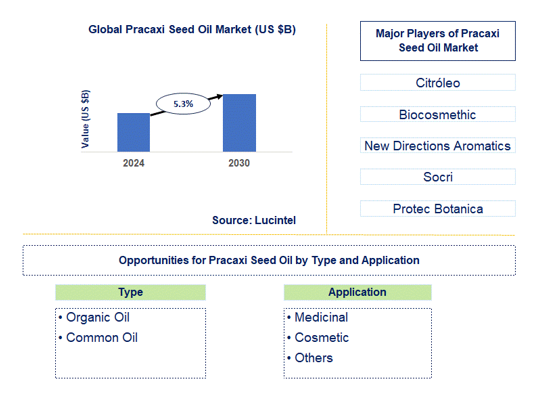 Pracaxi Seed Oil Market Trends and Forecast