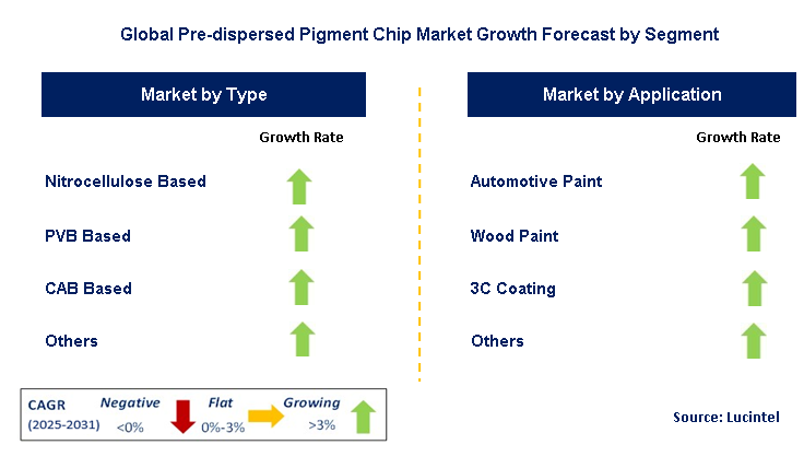 Pre-dispersed Pigment Chip Market by Segment
