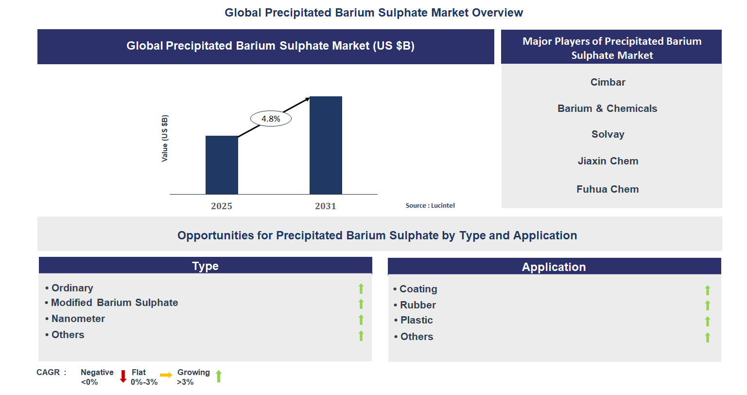 Precipitated Barium Sulphate Market Trends and Forecast