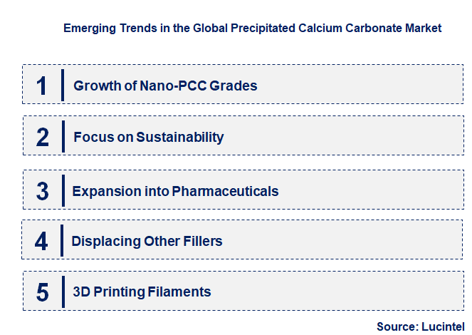 Emerging Trends in the Precipitated Calcium Carbonate Market