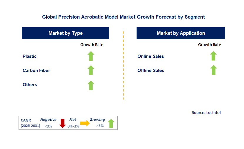 Precision Aerobatic Model Market by Segment