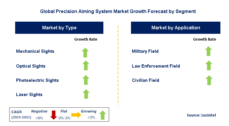 Precision Aiming System Market by Segment