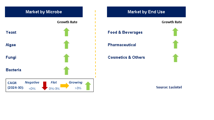 Precision Fermentation Ingredient by Segment