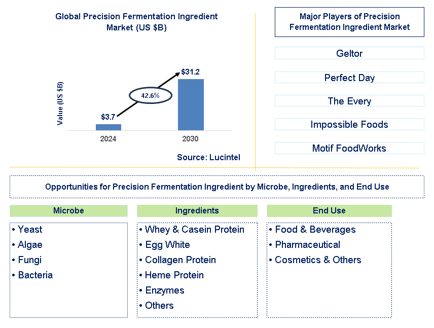 Precision Fermentation Ingredient Trends and Forecast