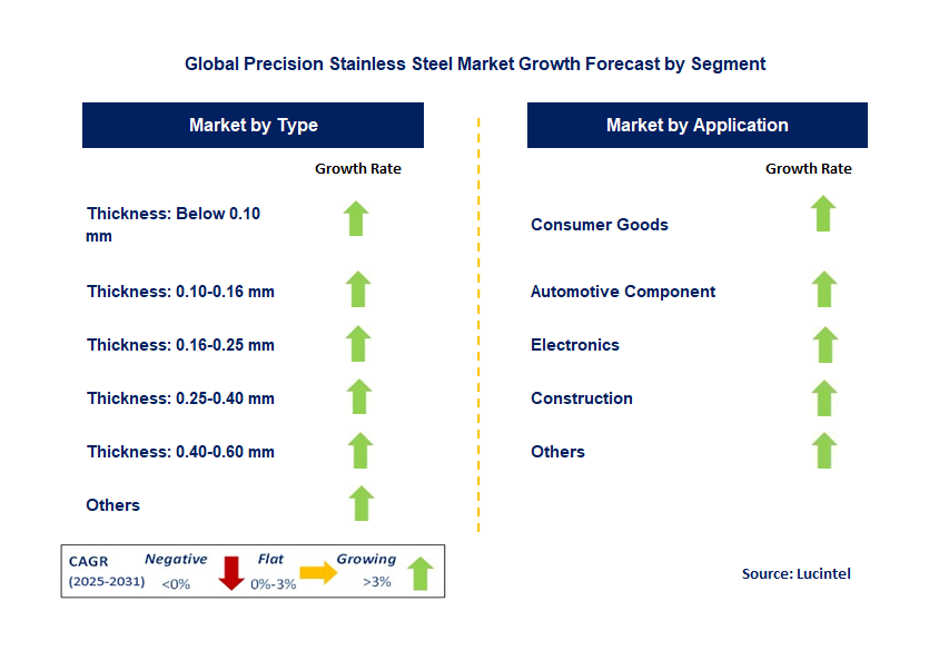 Precision Stainless Steel Market by Segment