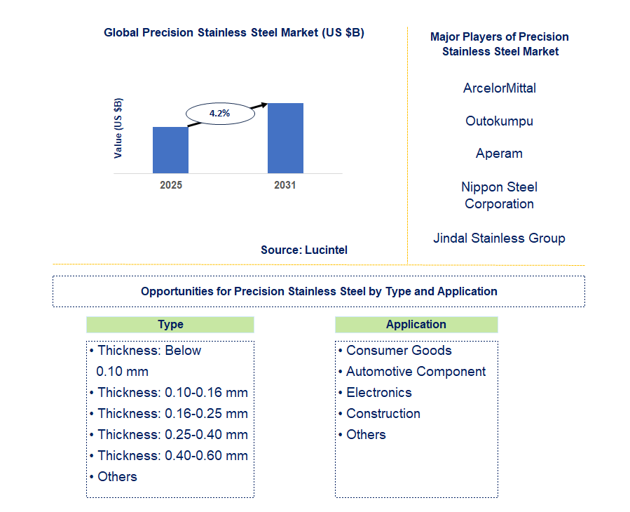 Precision Stainless Steel Market Trends and Forecast