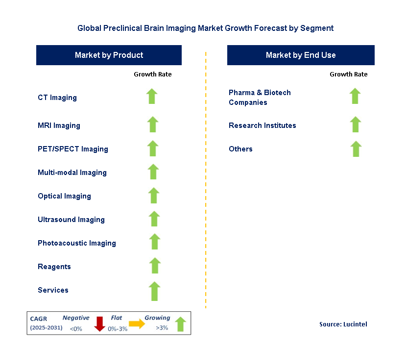 Preclinical Brain Imaging Market by Segment