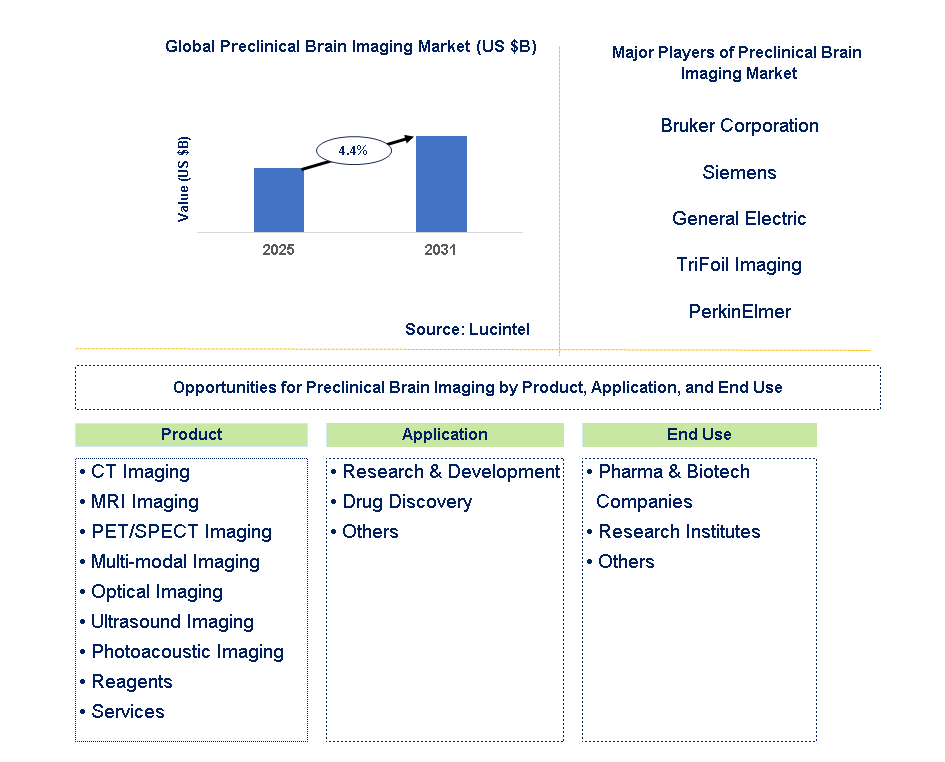 Preclinical Brain Imaging Market Trends and Forecast
