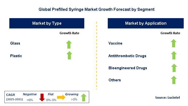Prefilled Syringe Market by Segment