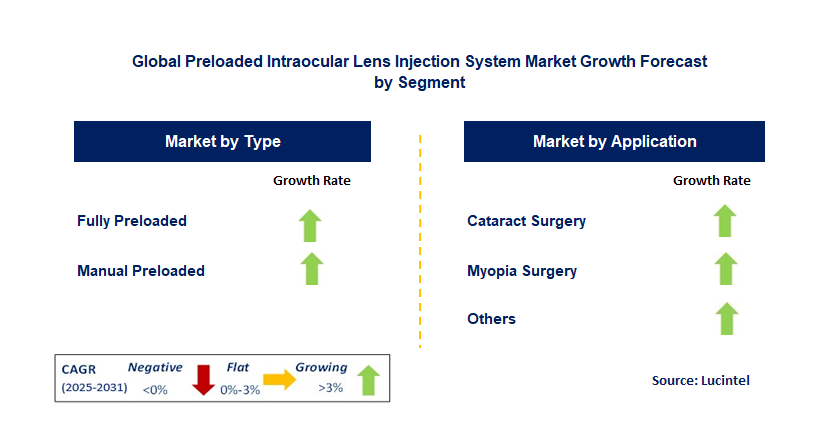 Preloaded Intraocular Lens Injection System Market by Segment