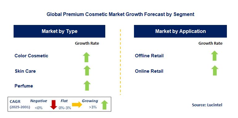 Premium Cosmetic Market by Segment