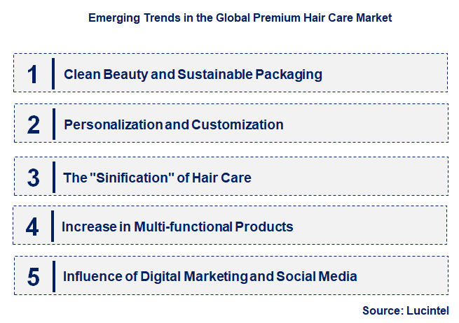 Emerging Trends in the Premium Hair Care Market