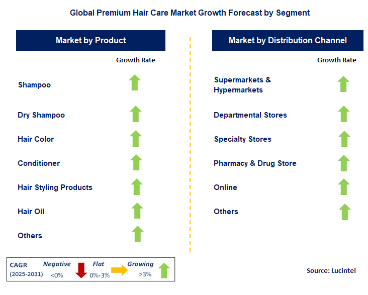 Premium Hair Care Market by Segment