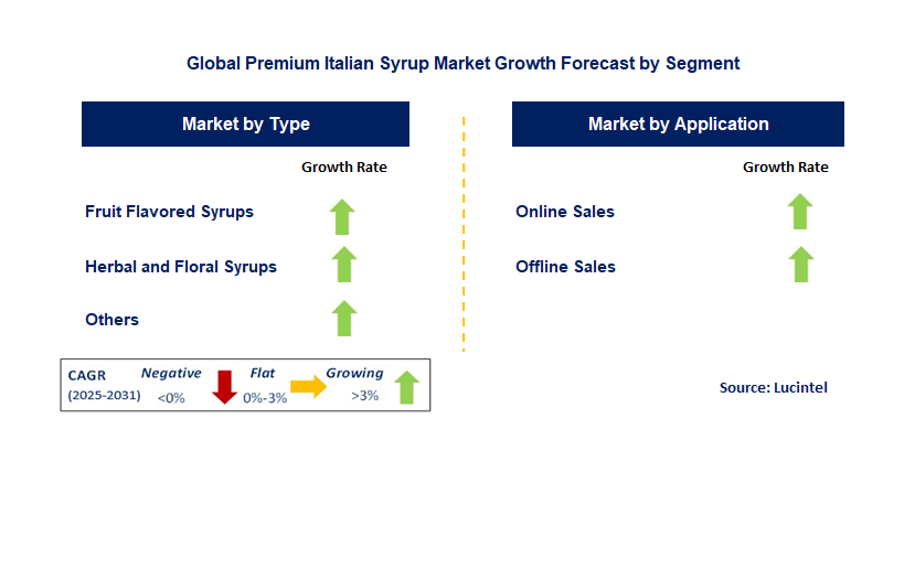 Premium Italian Syrup Market by Segment