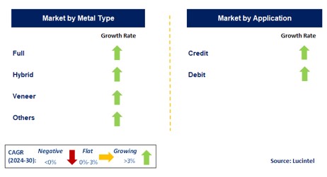 Premium Metal Payment Card by Segment