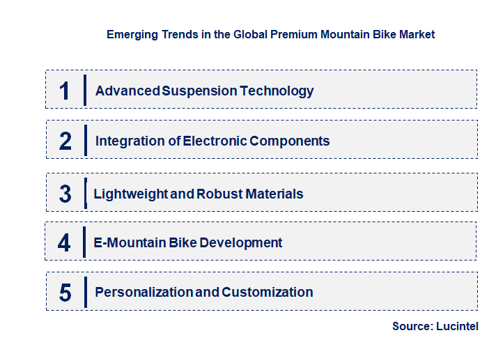 Emerging Trends in the Premium Mountain Bike Market