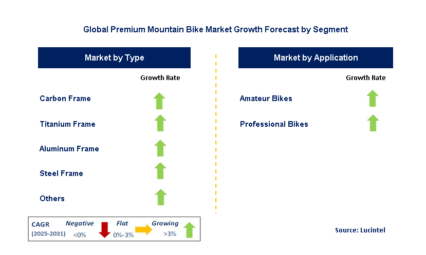 Premium Mountain Bike Market by Segment