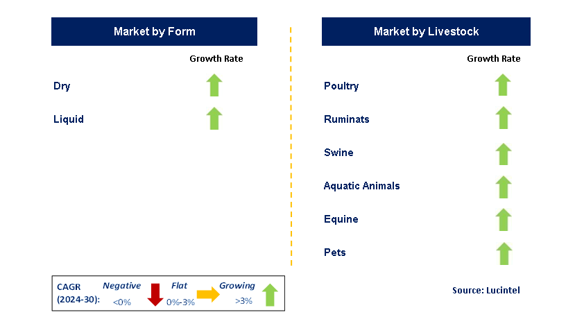 Premix Feed by Segment