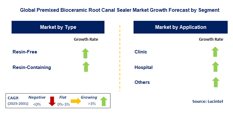 Premixed Bioceramic Root Canal Sealer Market by Segment
