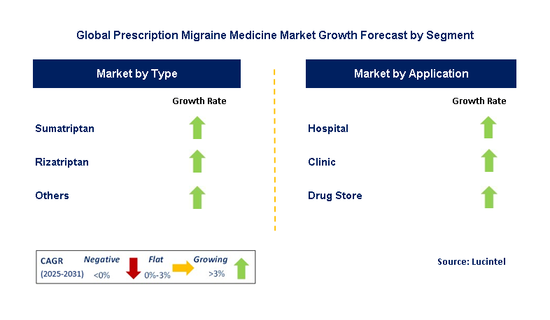 Prescription Migraine Medicine Market by Segment